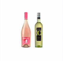 Fitvine and Ecco Domani Wine Bundle